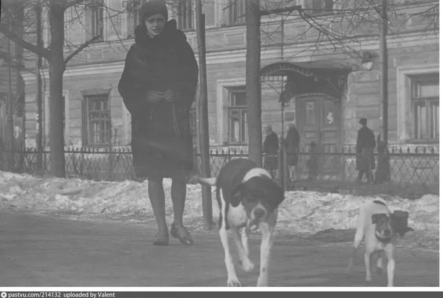 Петровский бульвар, дом 19