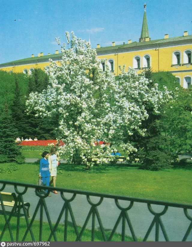 Александровский сад
