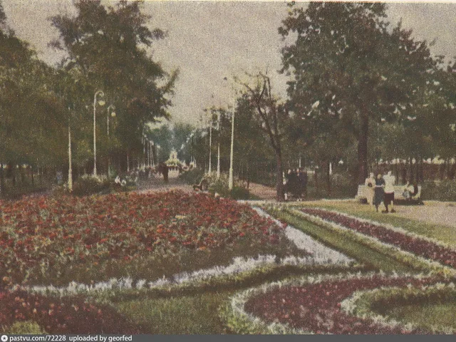Цветной Бульвар 1951